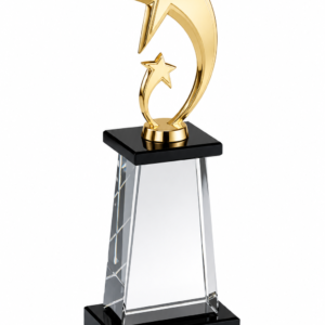K9 Star Crystal Glass Trophy (10 inch, 11 inch, 12 inch)